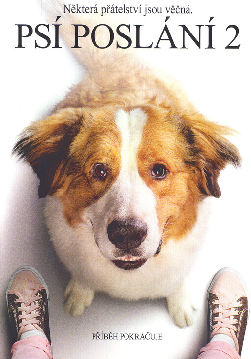 Psí poslání. 2