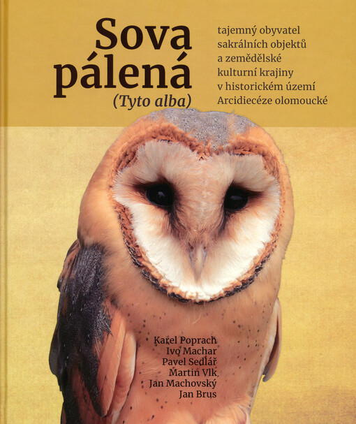 Sova pálená (Tyto alba) : tajemný obyvatel sakrálních objektů a zemědělské kulturní krajiny v historickém území Arcidiecéze olomoucké