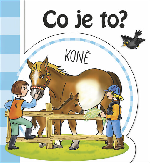 Co je to?. Koně