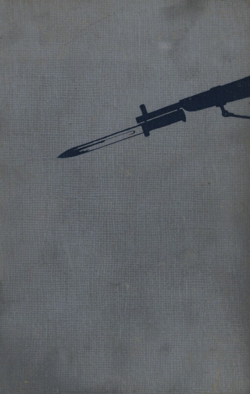 Nic než nenávist :Román