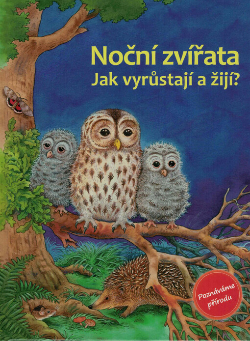 Noční zvířata - Jak vyrůstají a žijí?