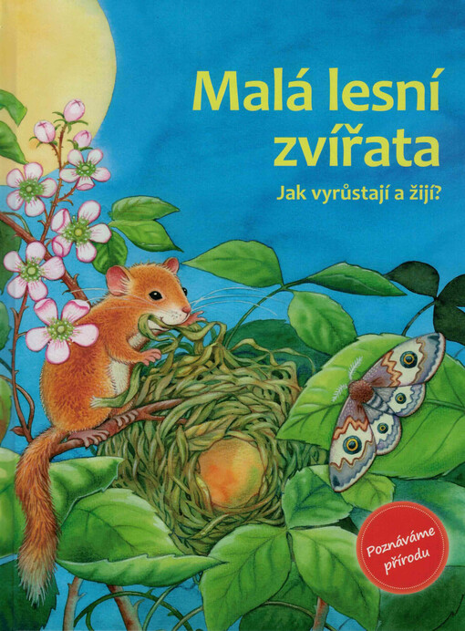 Malá lesní zvířata