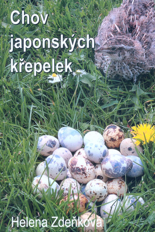 Chov japonských křepelek