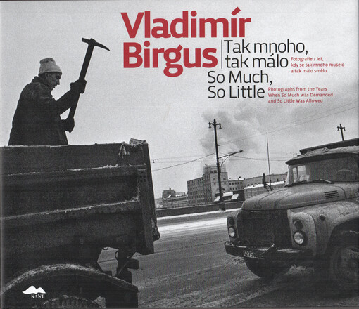 Tak mnoho, tak málo : fotografie z let, kdy se tak mnoho muselo a tak málo smělo = So much, so little : photographs from the years when so much was demanded and so little was allowed