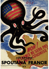 Spoutaná Francie : svědectví o americké okupaci  (odkaz v elektronickém katalogu)