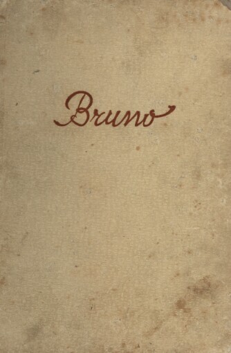 Bruno, anebo dobrodružství německého chlapce v české vesnici