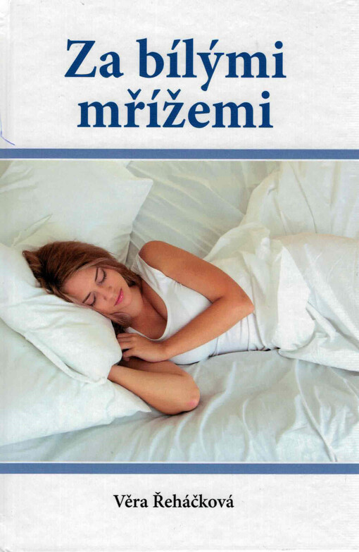 Za bílými mřížemi : autobiografický román