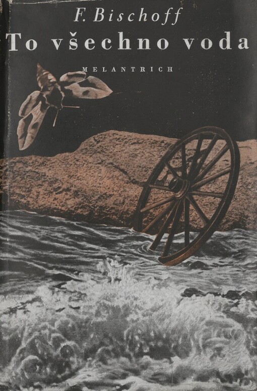 To všechno voda =: [Der Wassermann] : román