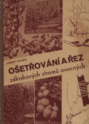 Ošetřování a řez zákrskových stromů ovocných
