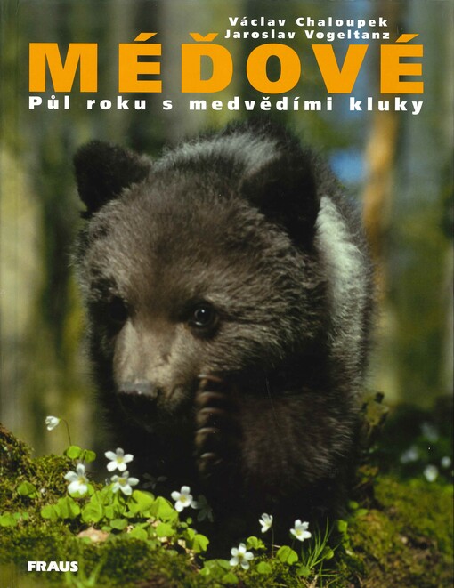 Méďové: půl roku s medvědími kluky