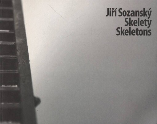 Jiří Sozanský : skelety = skeletons