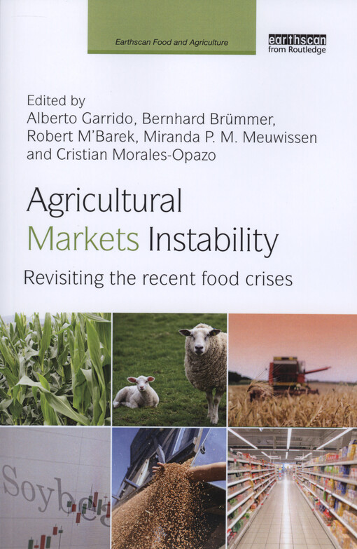 Agricultural markets instability : revisiting the recent food crises