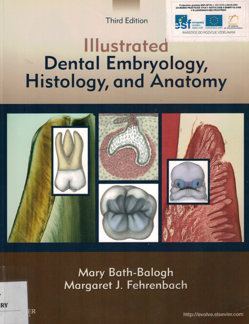Illustrated dental embryology, histology, and anatomy