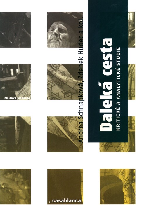 Daleká cesta : kritické a analytické studie