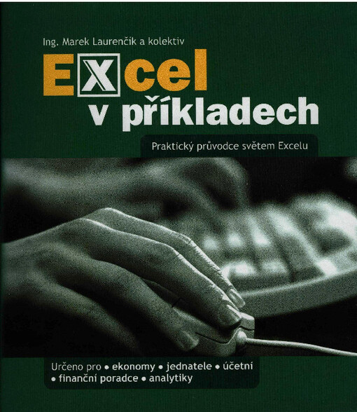 Excel v příkladech : základní dílo