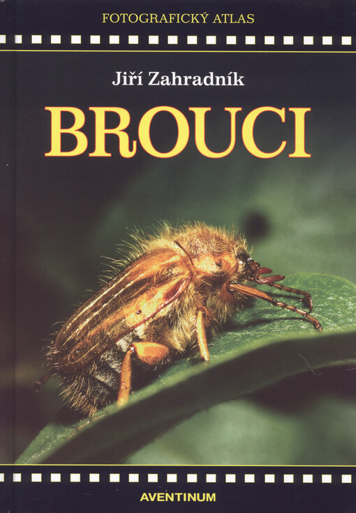 Brouci : [fotografický atlas], 1. vyd.