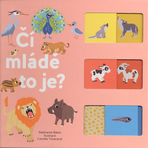 Čí je to mládě ?