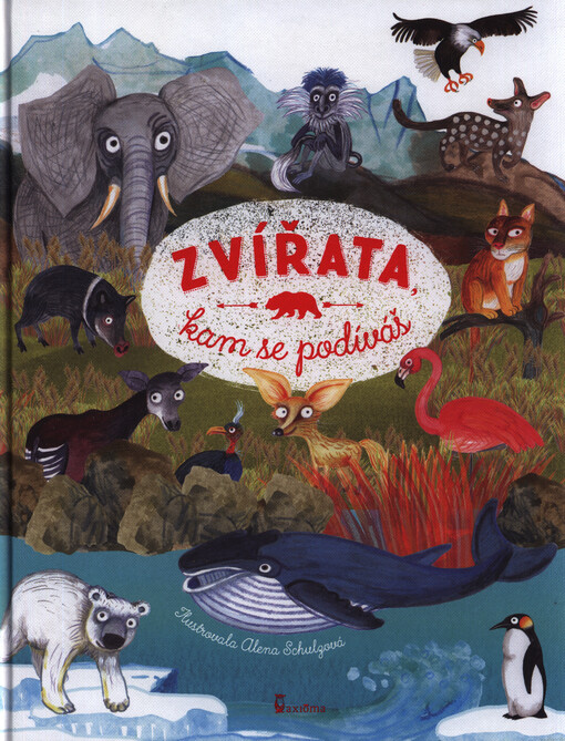 Zvířata, kam se podíváš