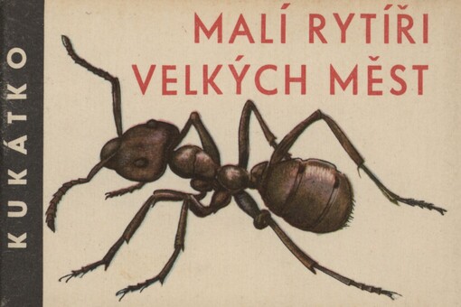 Malí rytíři velkých měst