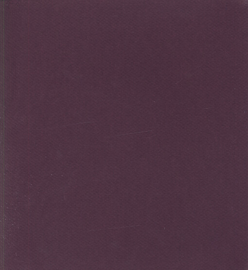Vladimír Kopecký : obrazy : Galerie moderního umění v Roudnici nad Labem, listopad 2004 - leden 2005
