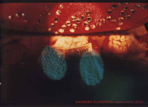 Barbora Šlapetová : love story (2x2)2 : [Galerie umění Karlovy Vary, 5.7.2003-14.9.2003