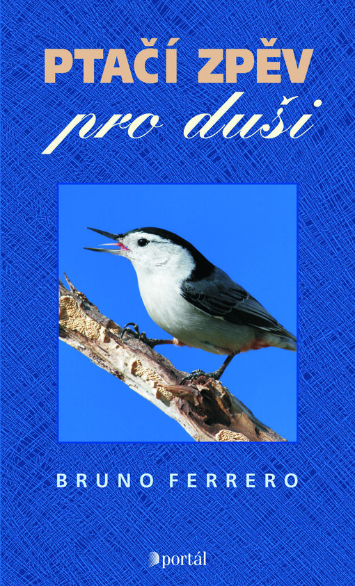 Ptačí zpěv pro duši