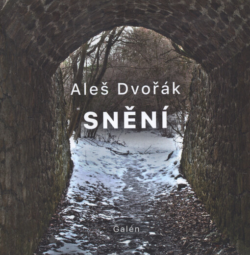 Snění