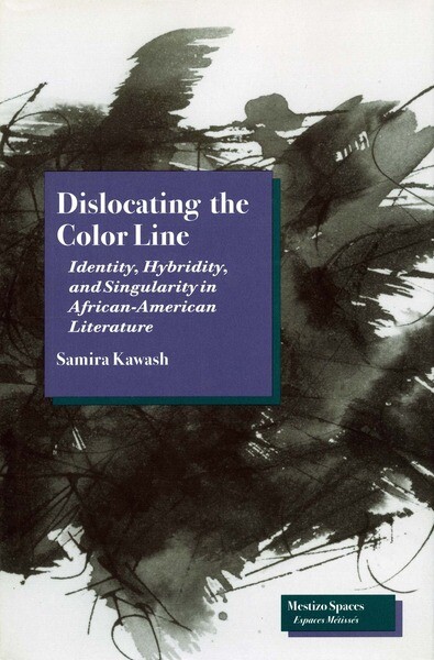 Dislocating the color line : identity, hybridity, and singularity in African-American narrative   