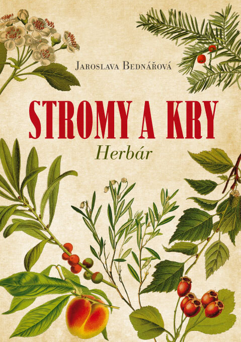 ISBN 9788081428913