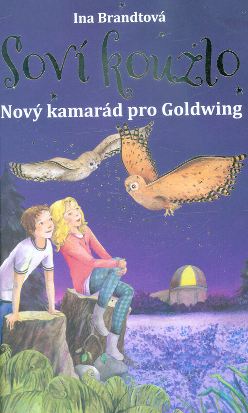 Soví kouzlo. Nový kamarád pro Goldwing