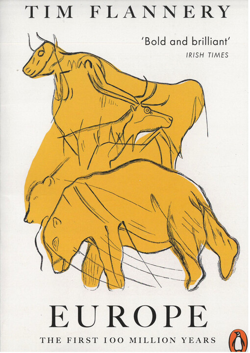 Europe : the first 100 million years