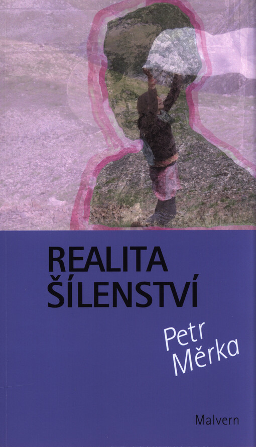 Realita šílenství