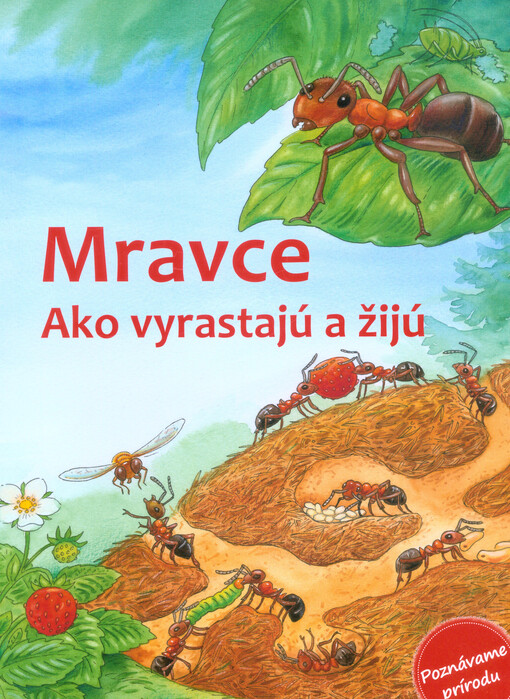 Mravce : ako vyrastajú a žijú