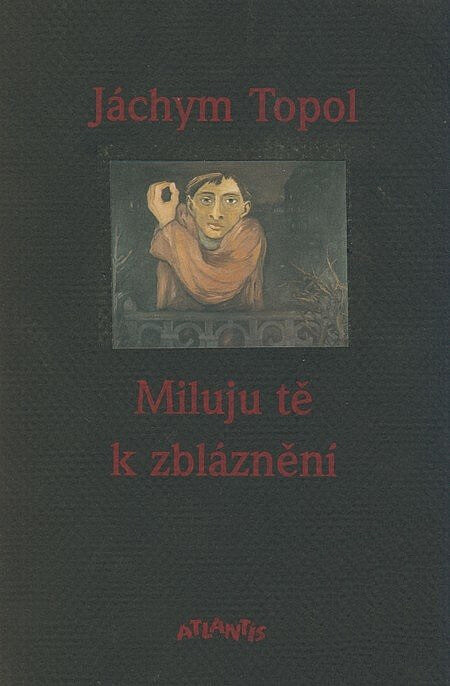 Miluju tě k zbláznění