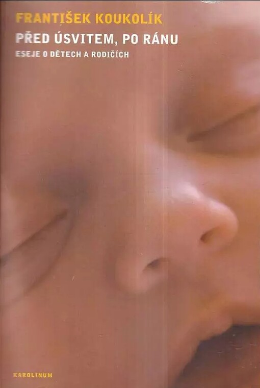 Před úsvitem, po ránu: eseje o dětech a rodičích