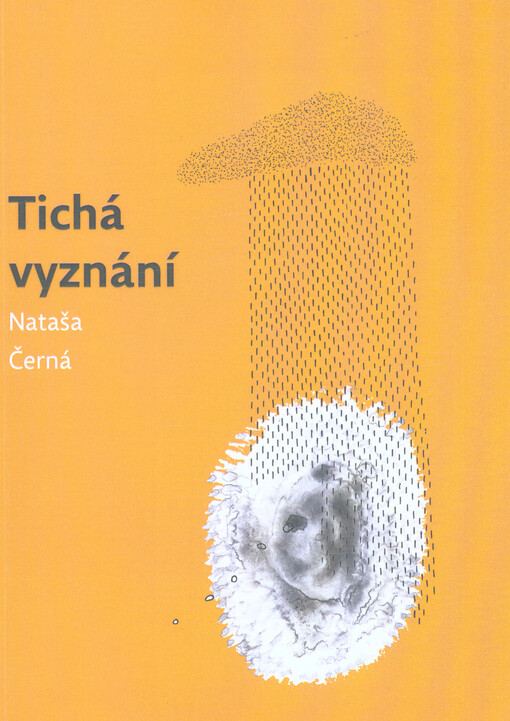Tichá vyznání