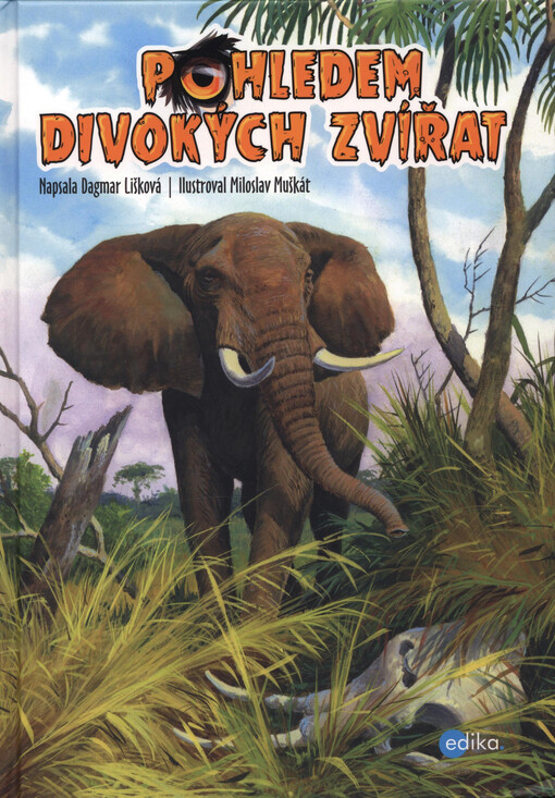 Pohledem divokých zvířat