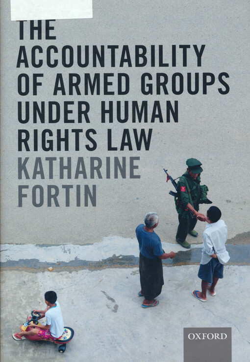 The accountability of armed groups under human rights law