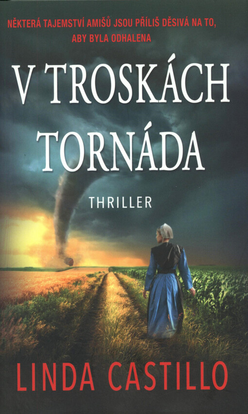 V troskách tornáda