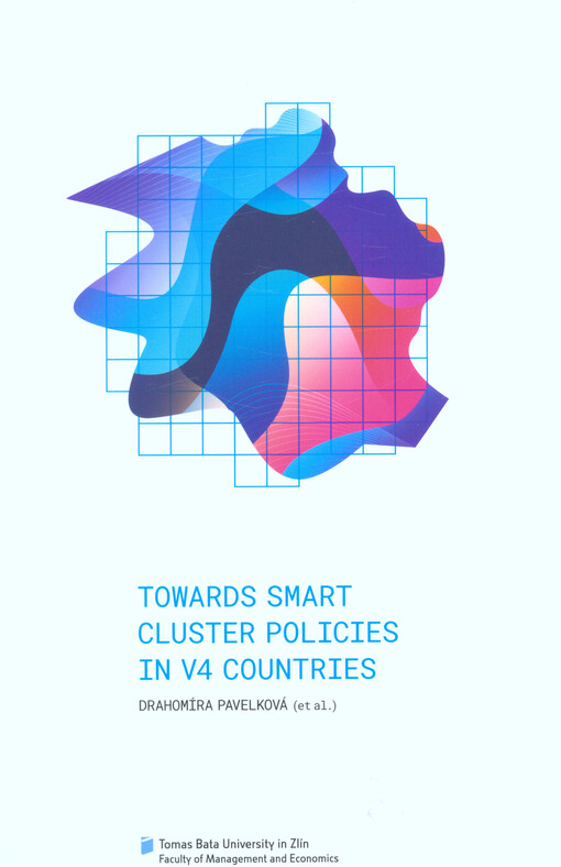 Towards smart cluster policies in V4 countries