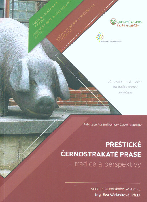 Přeštické černostrakaté prase : tradice a perspektivy