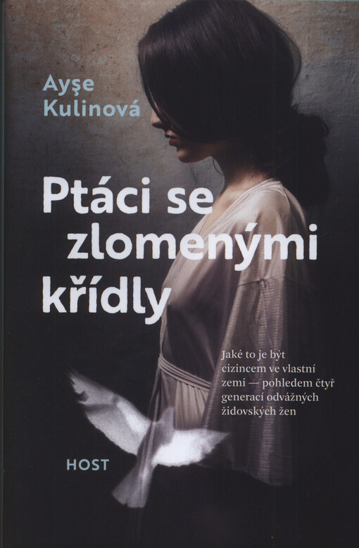 Ptáci se zlomenými křídly