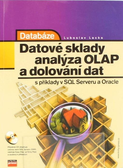 Databáze: datové sklady, OLAP a dolování dat s příklady v Microsoft SQL Serveru a Oracle