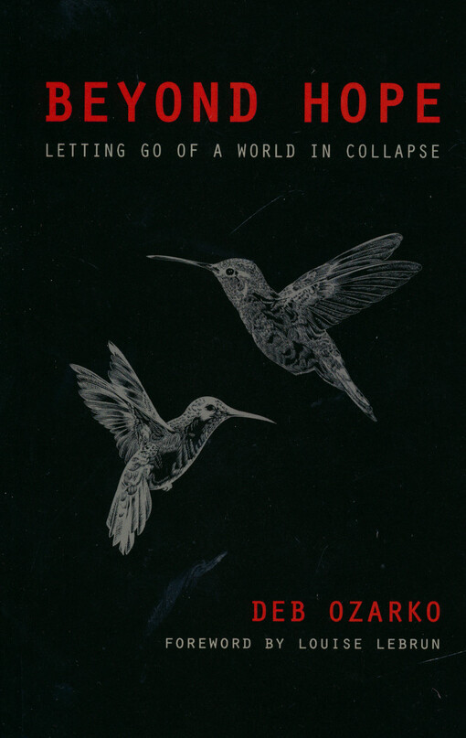 Beyond hope : letting go of a world in collapse