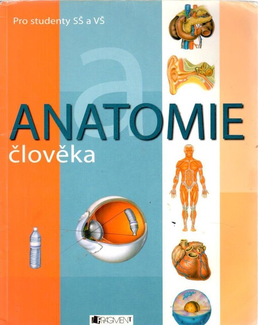 Anatomie člověka