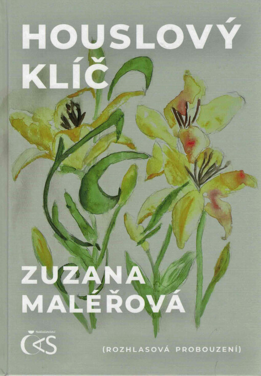 Houslový klíč : (rozhlasová probouzení)
