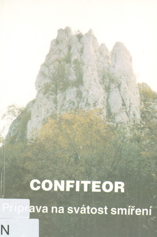 Confiteor : příprava na svátost smíření