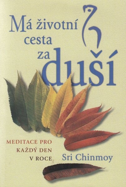 Má životní cesta za duší