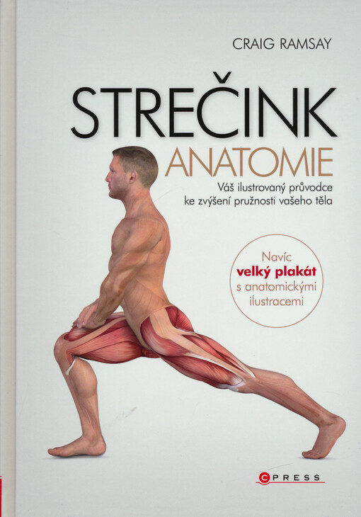 Strečink - anatomie