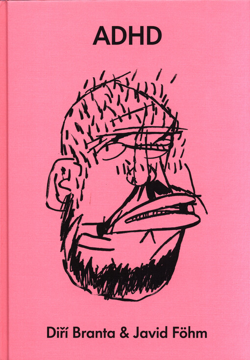 Jiří David & Franta Böhm : ambivalence - dodo - hloupost - demokracie : ateliér - detail - hlava - domov